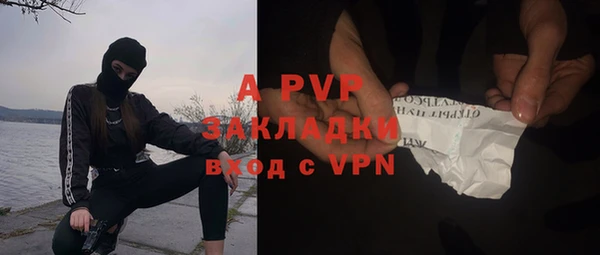 твердый Алексин
