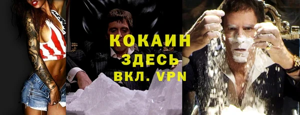 твердый Алексин