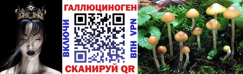 Галлюциногенные грибы мицелий  Нововоронеж 
